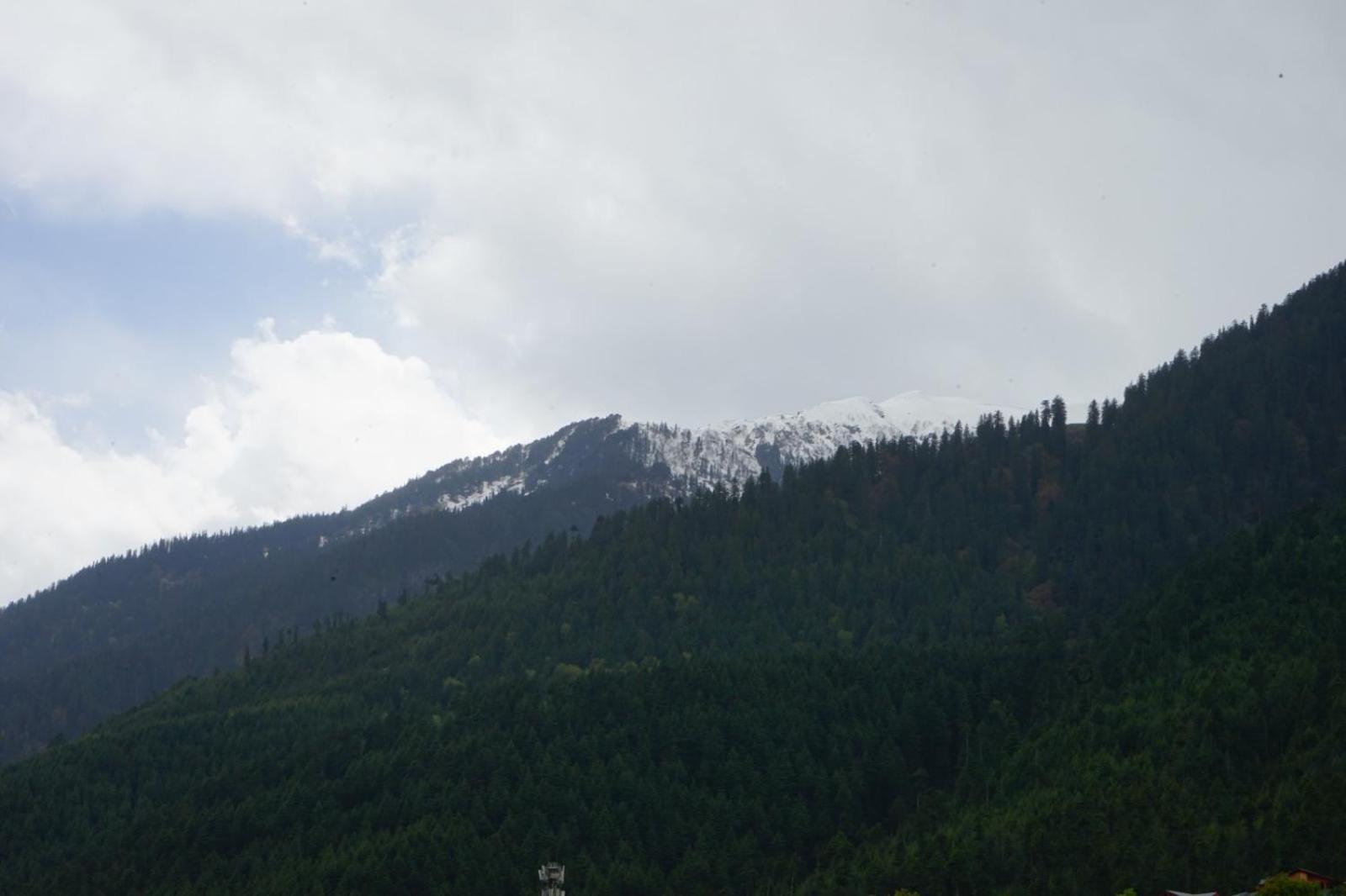 Hotel Magnolia Mallroad Manali מראה חיצוני תמונה